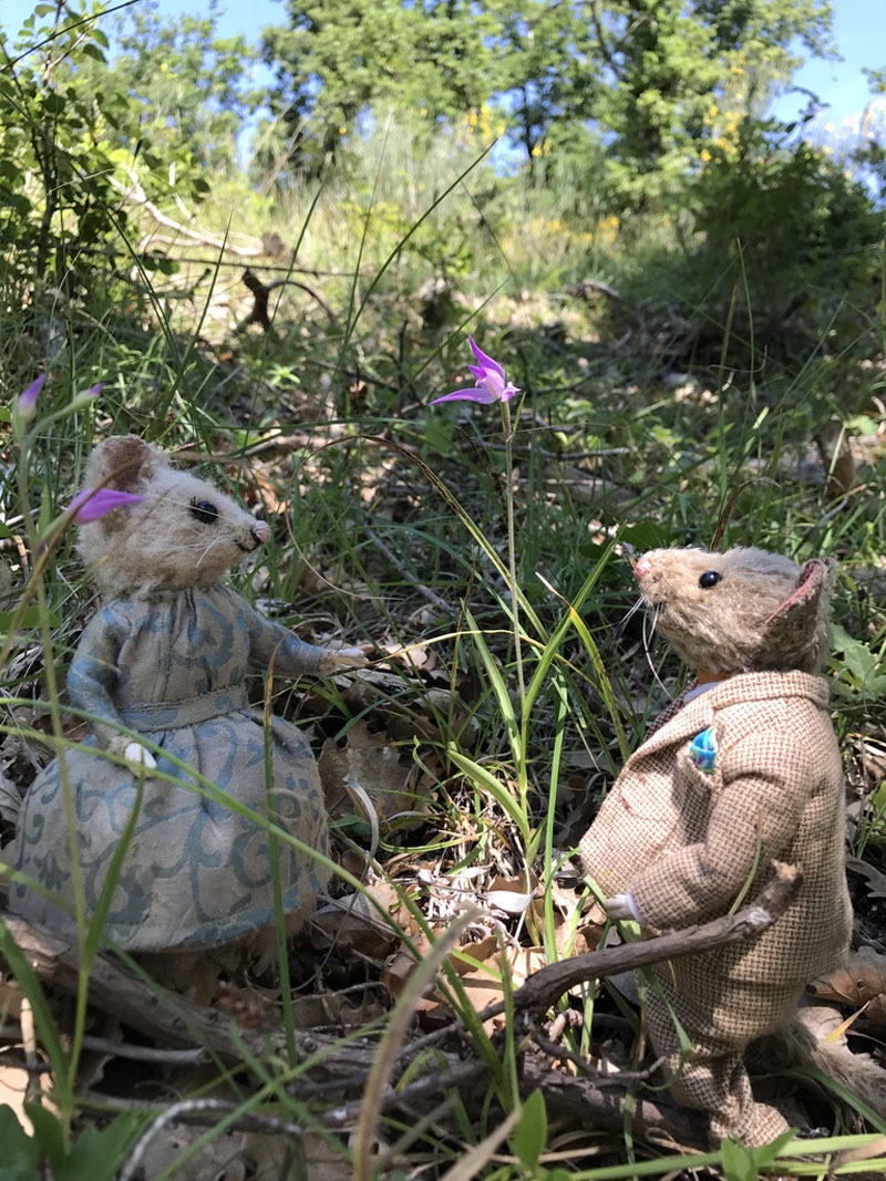 Mohair mouse dolls admiring nature in Tuscany