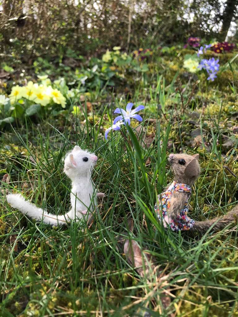 Ellen and her friend Merlin admire a spring flower