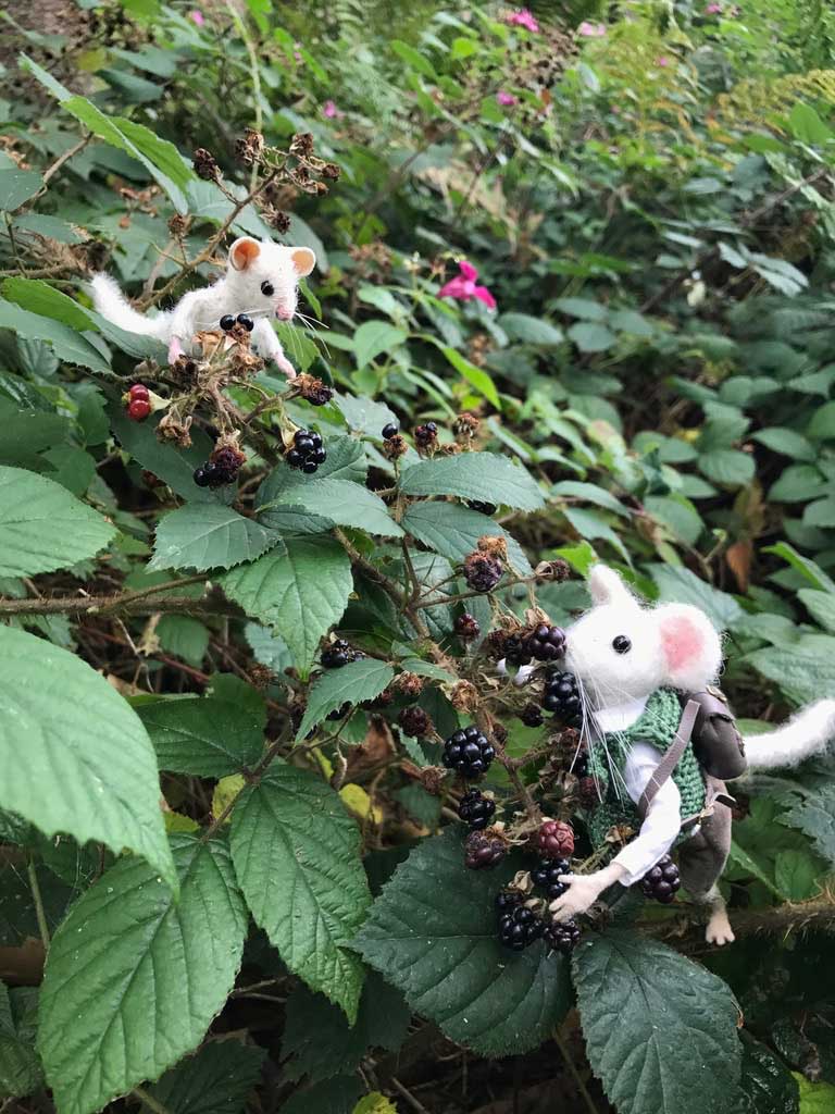 Merlin mouse picking blackberries with Max