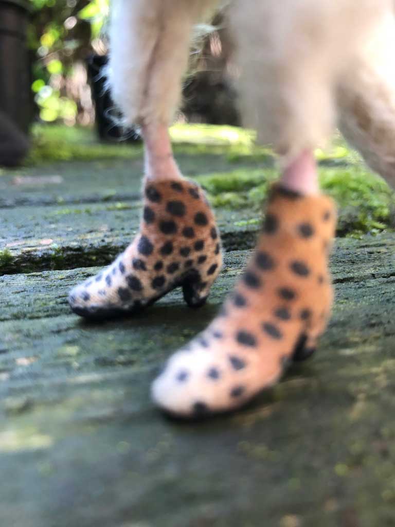 Miranda's leopard-print boots